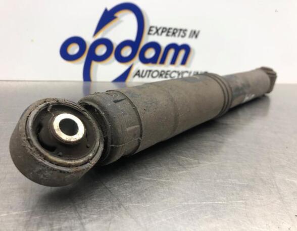 Shock Absorber FIAT PANDA (169_)