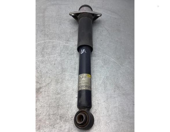 Shock Absorber TOYOTA PRIUS PHV (_W52_), TOYOTA C-HR (_X1_)