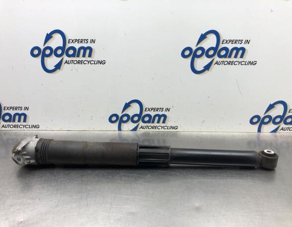 Shock Absorber VW GOLF VII Variant (BA5, BV5)