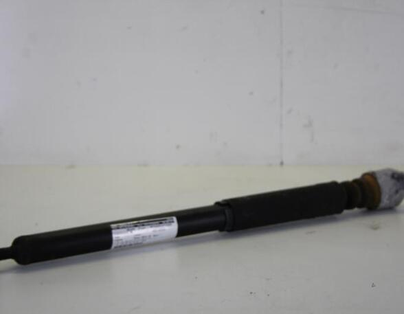 Shock Absorber FORD FIESTA VI (CB1, CCN)