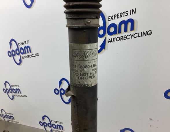 Shock Absorber FORD FOCUS III Turnier