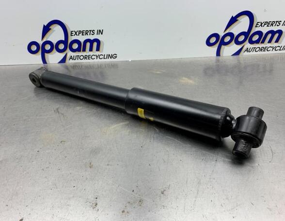 Shock Absorber FORD FOCUS Turnier (DNW)