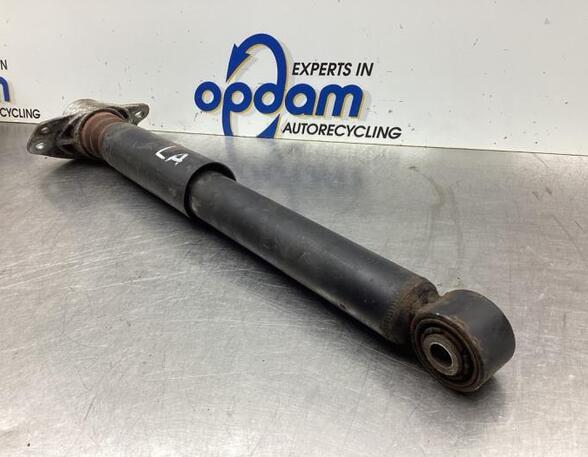 Shock Absorber SEAT LEON (1P1)