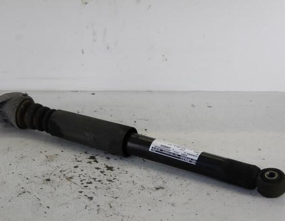 Shock Absorber VW PASSAT (3C2)