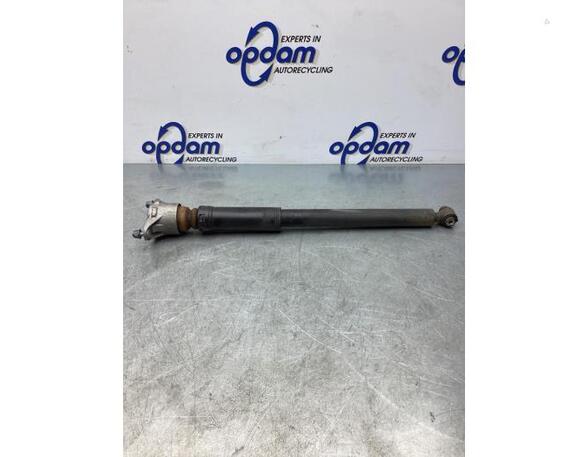 Shock Absorber MERCEDES-BENZ B-CLASS (W246, W242)