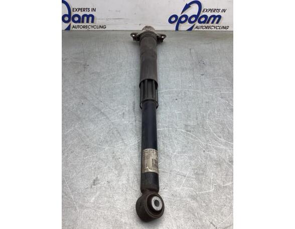 Shock Absorber VW GOLF VIII (CD1)