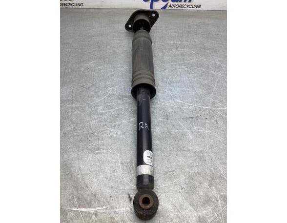 Shock Absorber NISSAN MICRA V (K14)