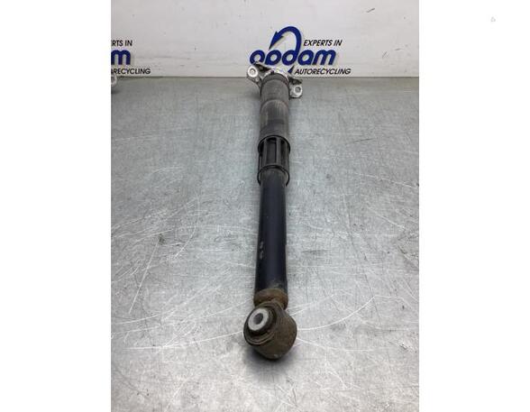 Shock Absorber VW GOLF SPORTSVAN (AM1, AN1)