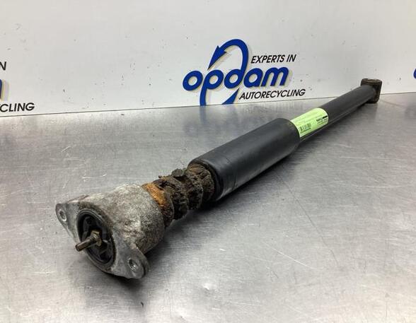 Shock Absorber MAZDA 2 (DY)