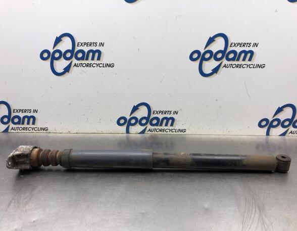 Shock Absorber FORD FOCUS C-MAX (DM2), FORD C-MAX (DM2)