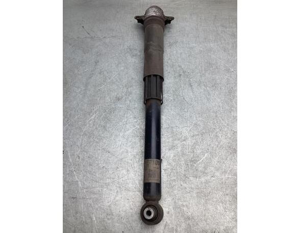 Shock Absorber VW GOLF VII (5G1, BQ1, BE1, BE2), VW GOLF VIII Variant (CG5)