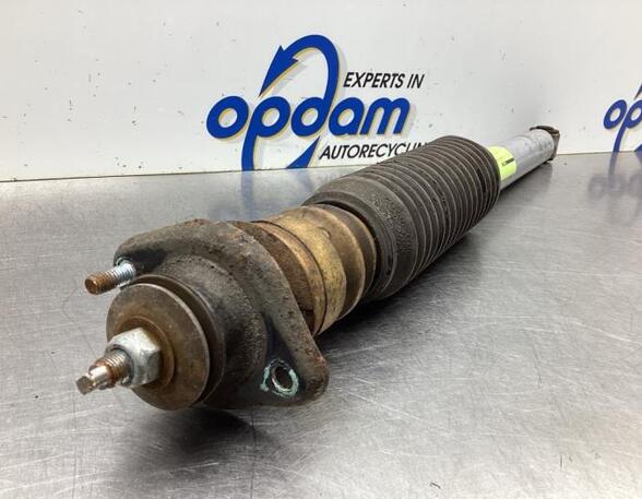 Shock Absorber BMW 3 (E46)