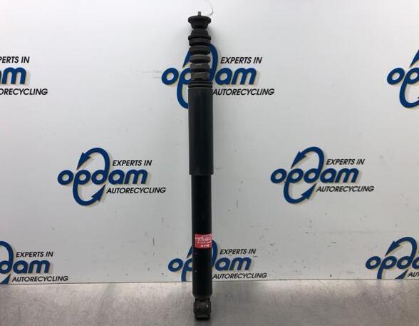 Shock Absorber RENAULT CLIO III (BR0/1, CR0/1), RENAULT CLIO II (BB_, CB_)