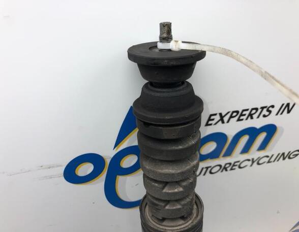 Shock Absorber RENAULT CLIO III (BR0/1, CR0/1), RENAULT CLIO II (BB_, CB_)