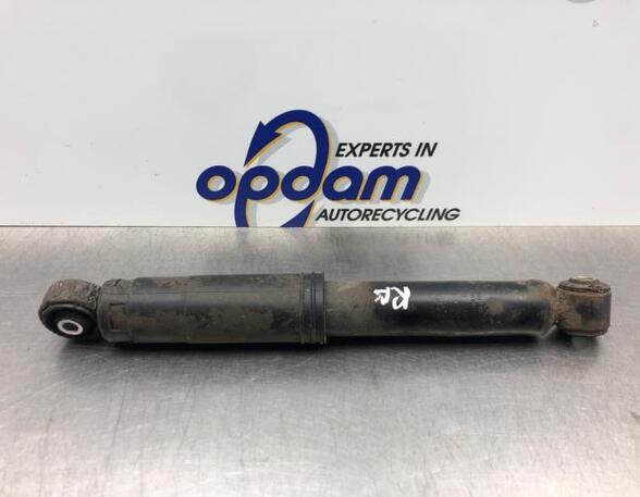 Shock Absorber FIAT PANDA (169_)