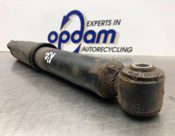 Shock Absorber FIAT PANDA (169_)