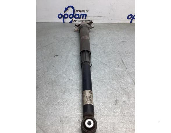 Shock Absorber VW GOLF VIII (CD1)