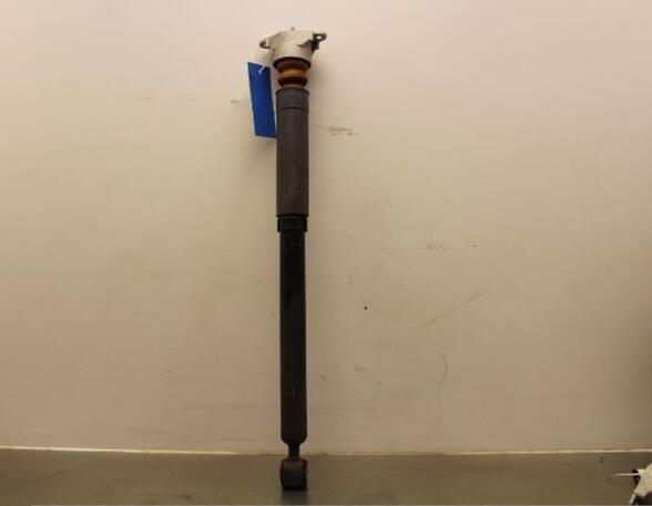 Shock Absorber FORD FIESTA VI (CB1, CCN)