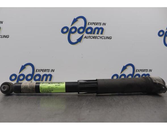 Shock Absorber VW GOLF VII (5G1, BQ1, BE1, BE2)