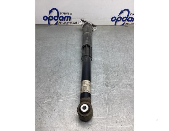 Shock Absorber VW GOLF SPORTSVAN (AM1, AN1)