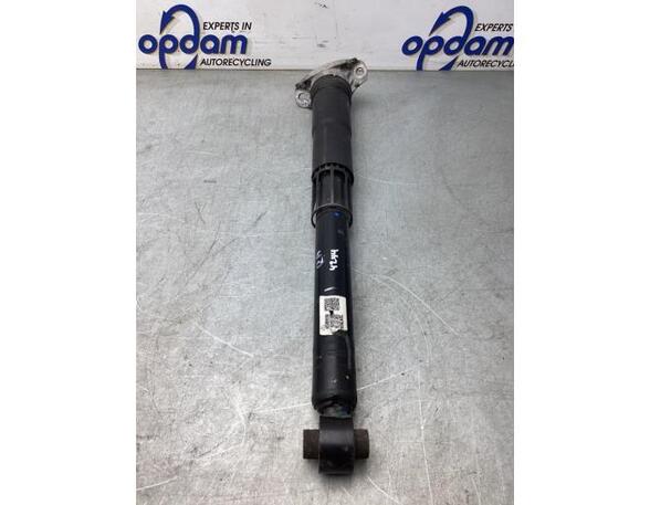 Shock Absorber VW TIGUAN (AD1, AX1), VW TIGUAN ALLSPACE (BW2)