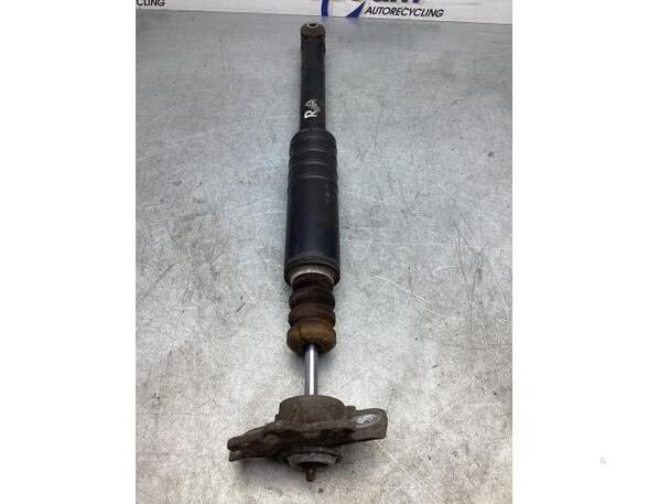 Shock Absorber FIAT PUNTO (188_)