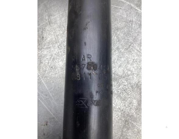 Shock Absorber FIAT PUNTO (188_)