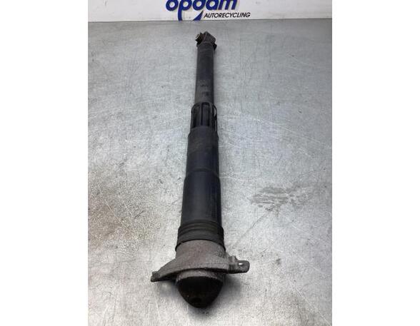 Shock Absorber VW TIGUAN (AD1, AX1), VW TIGUAN ALLSPACE (BW2)