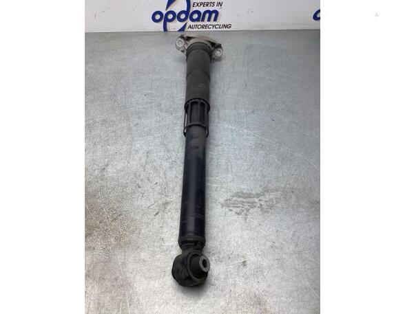 Shock Absorber VW TIGUAN (AD1, AX1), VW TIGUAN ALLSPACE (BW2)