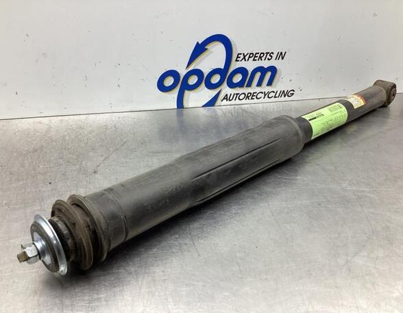 Shock Absorber TOYOTA VERSO S (_P12_)