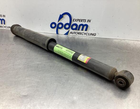 Shock Absorber TOYOTA VERSO S (_P12_)