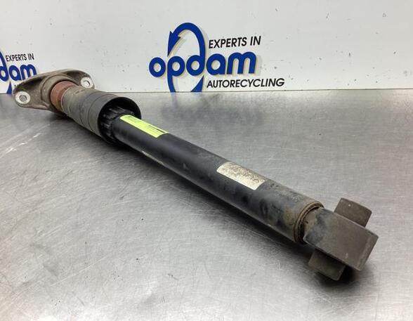 Shock Absorber AUDI A4 (8W2, 8WC, B9)