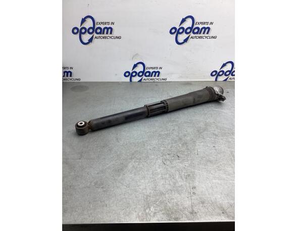 Shock Absorber VW T-ROC (A11, D11)