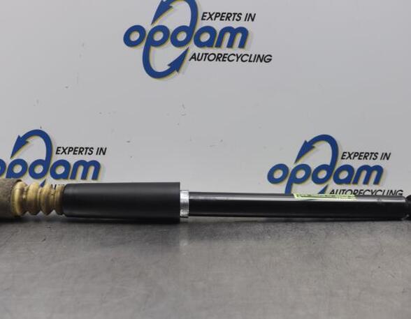 Shock Absorber FORD FIESTA V (JH_, JD_)