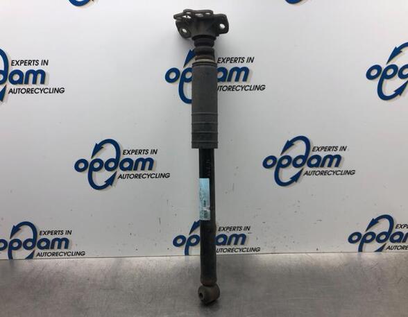 Shock Absorber FIAT GRANDE PUNTO (199_)