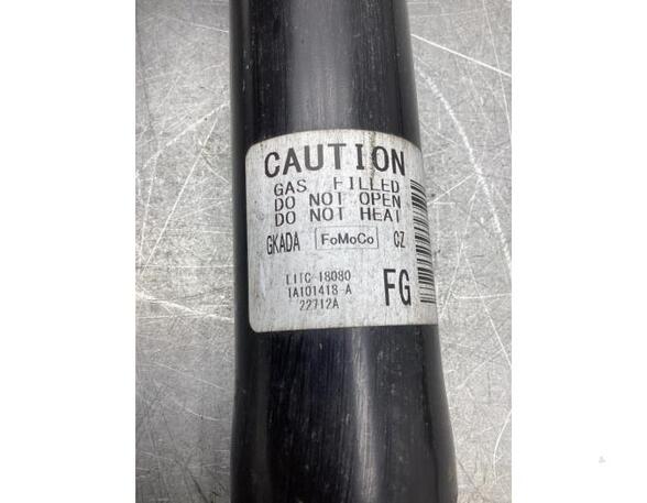 Shock Absorber FORD PUMA (J2K, CF7)