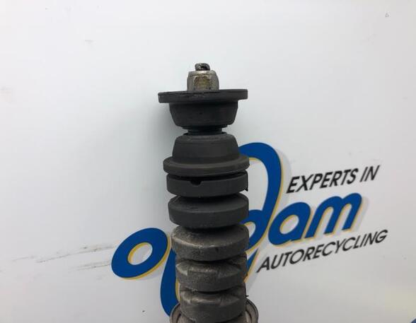 Shock Absorber RENAULT CLIO III (BR0/1, CR0/1), RENAULT CLIO II (BB_, CB_)