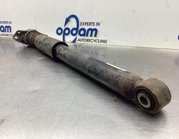 Shock Absorber VW TIGUAN (5N_), VW TIGUAN VAN (5N_)