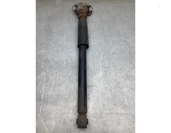 Shock Absorber AUDI A1 Sportback (8XA, 8XF)