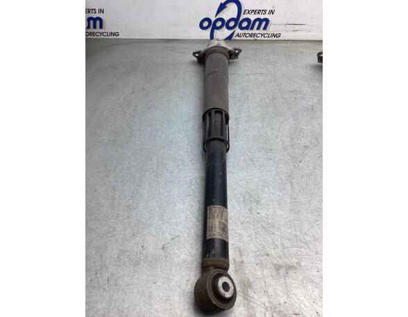 Shock Absorber SEAT LEON ST (5F8)