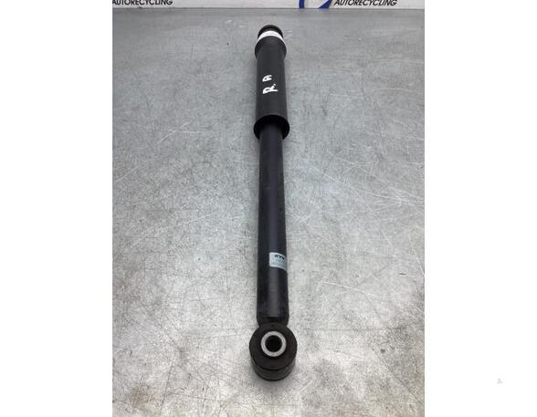 Shock Absorber RENAULT CLIO V (B7_)