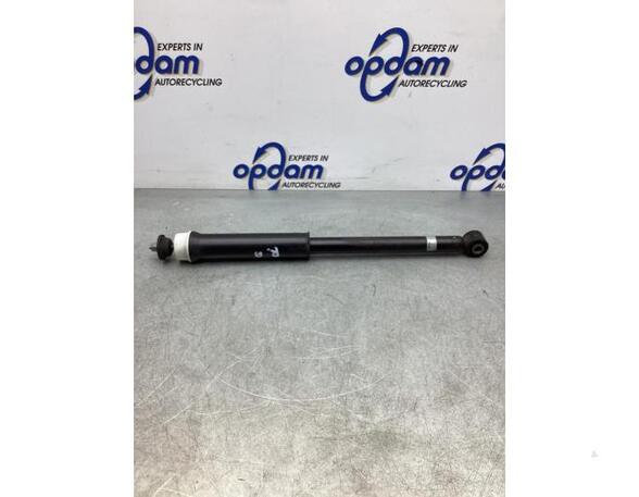 Shock Absorber RENAULT CLIO V (B7_)