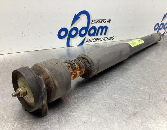 Shock Absorber FORD FOCUS (DAW, DBW)