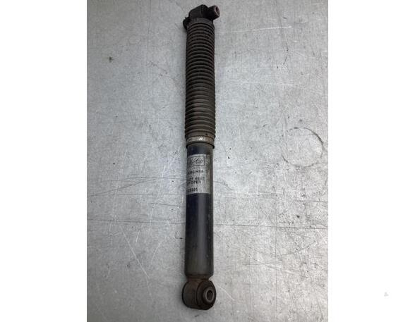 Shock Absorber FORD FOCUS III Turnier