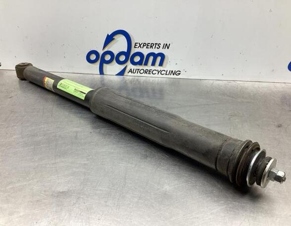 Shock Absorber TOYOTA VERSO S (_P12_)