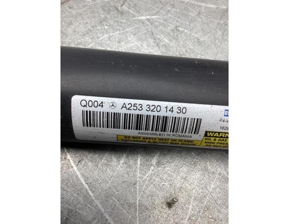 Shock Absorber MERCEDES-BENZ GLC (X253)