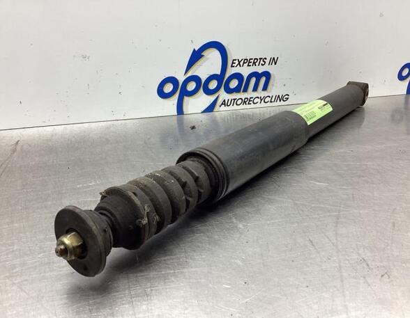 Shock Absorber RENAULT MODUS / GRAND MODUS (F/JP0_)