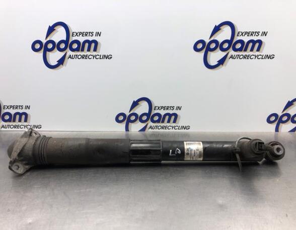 Shock Absorber SEAT LEON (5F1)