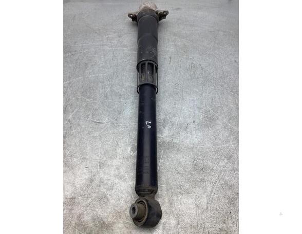 Shock Absorber VW TIGUAN (AD1, AX1), VW TIGUAN ALLSPACE (BW2)