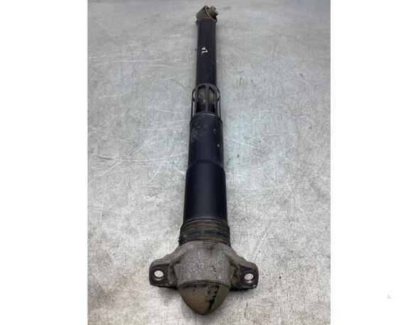 Shock Absorber VW TIGUAN (AD1, AX1), VW TIGUAN ALLSPACE (BW2)